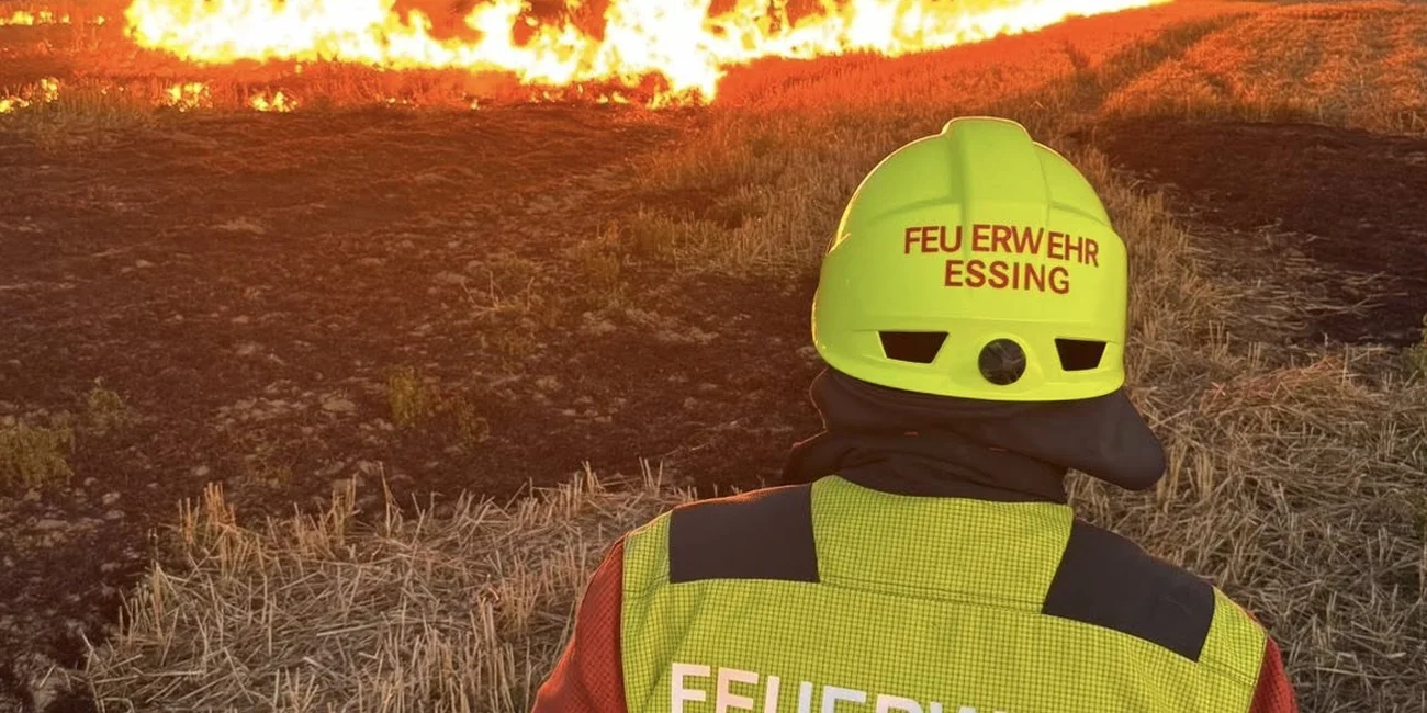Rino Feuer