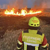 Rino Feuer